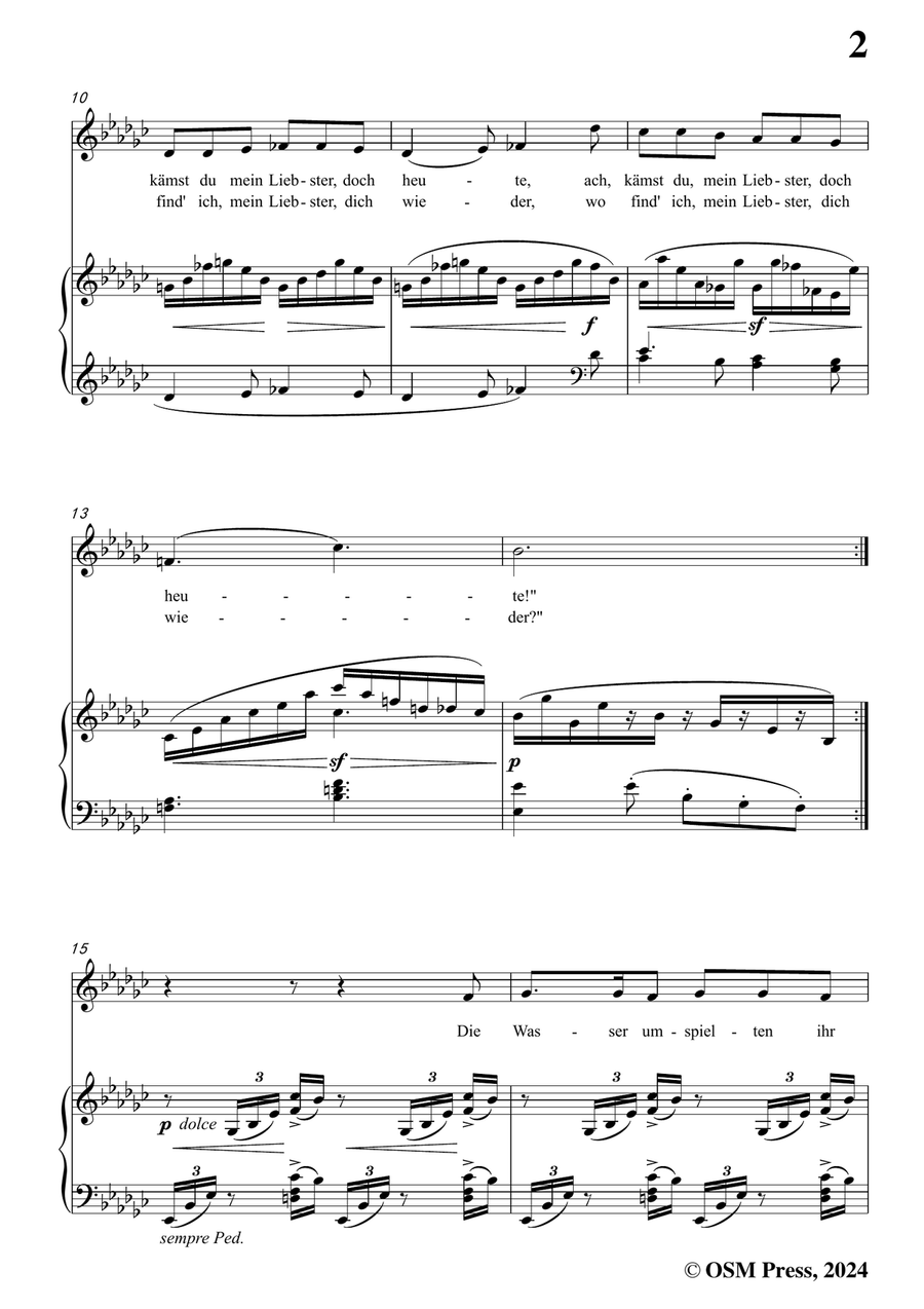 Brahms-Treue Liebe,in e flat minor Piano, Vocal scores gallery preview page 3