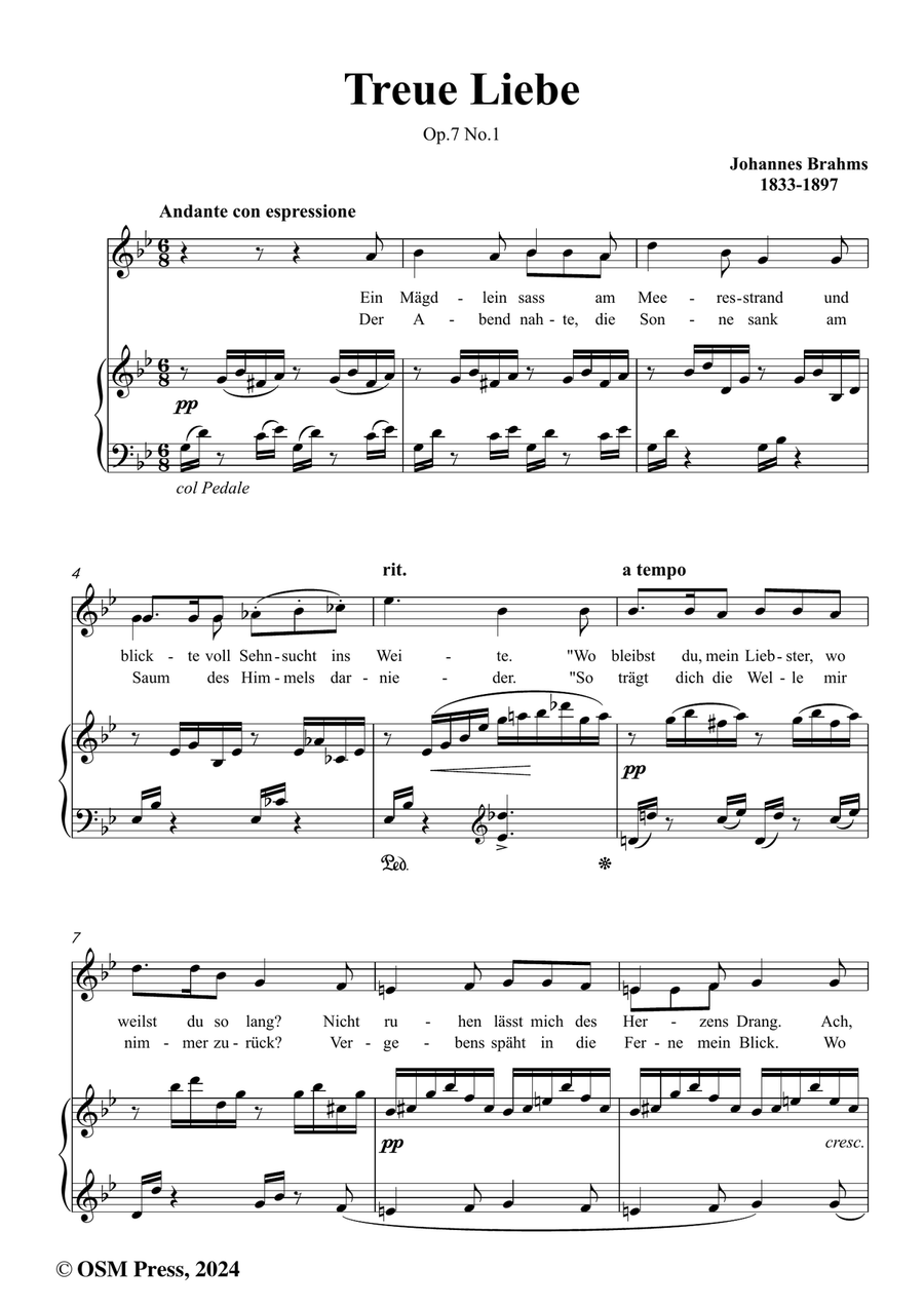 Brahms-Treue Liebe,in g minor Piano, Vocal scores gallery preview page 2