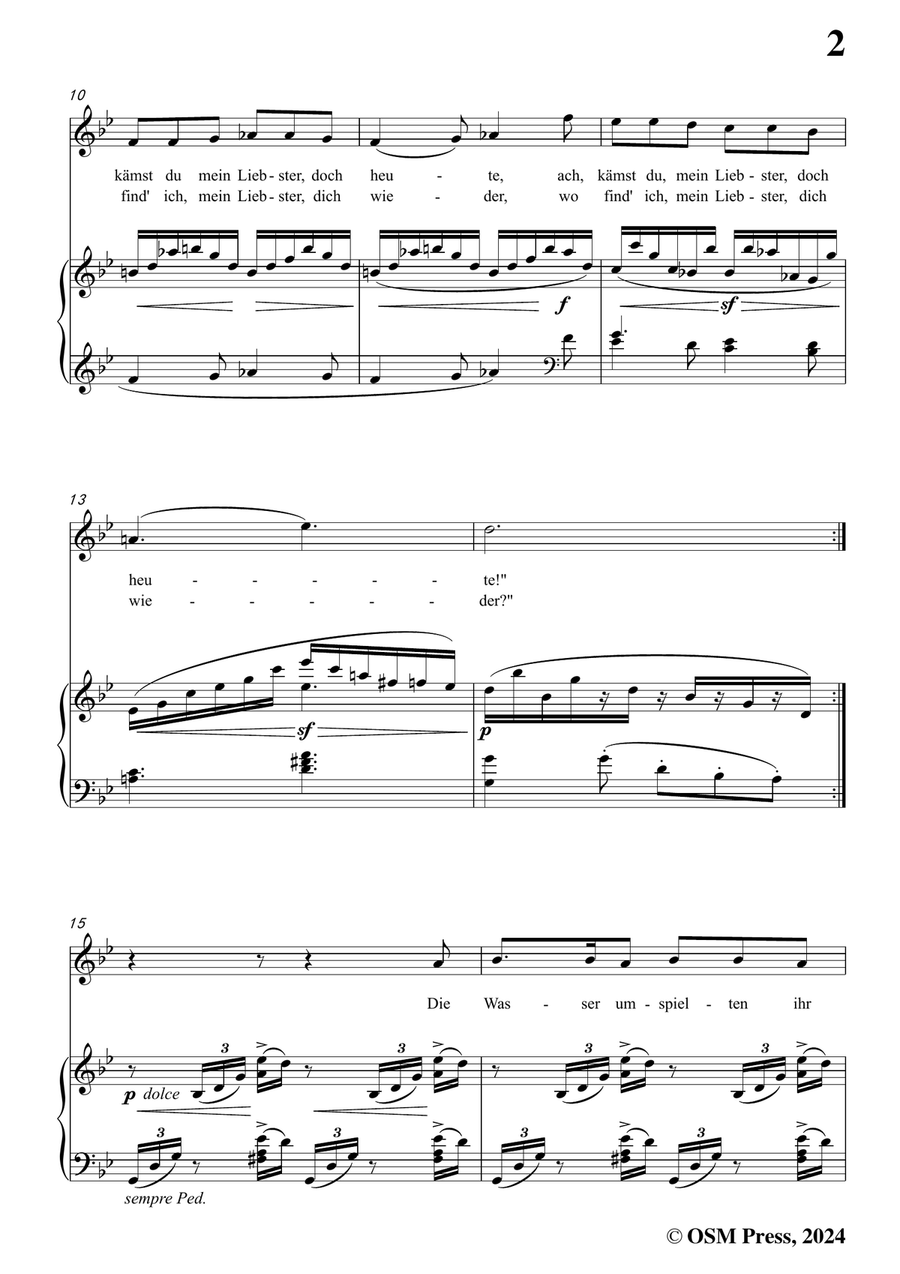 Brahms-Treue Liebe,in g minor Piano, Vocal scores gallery preview page 3