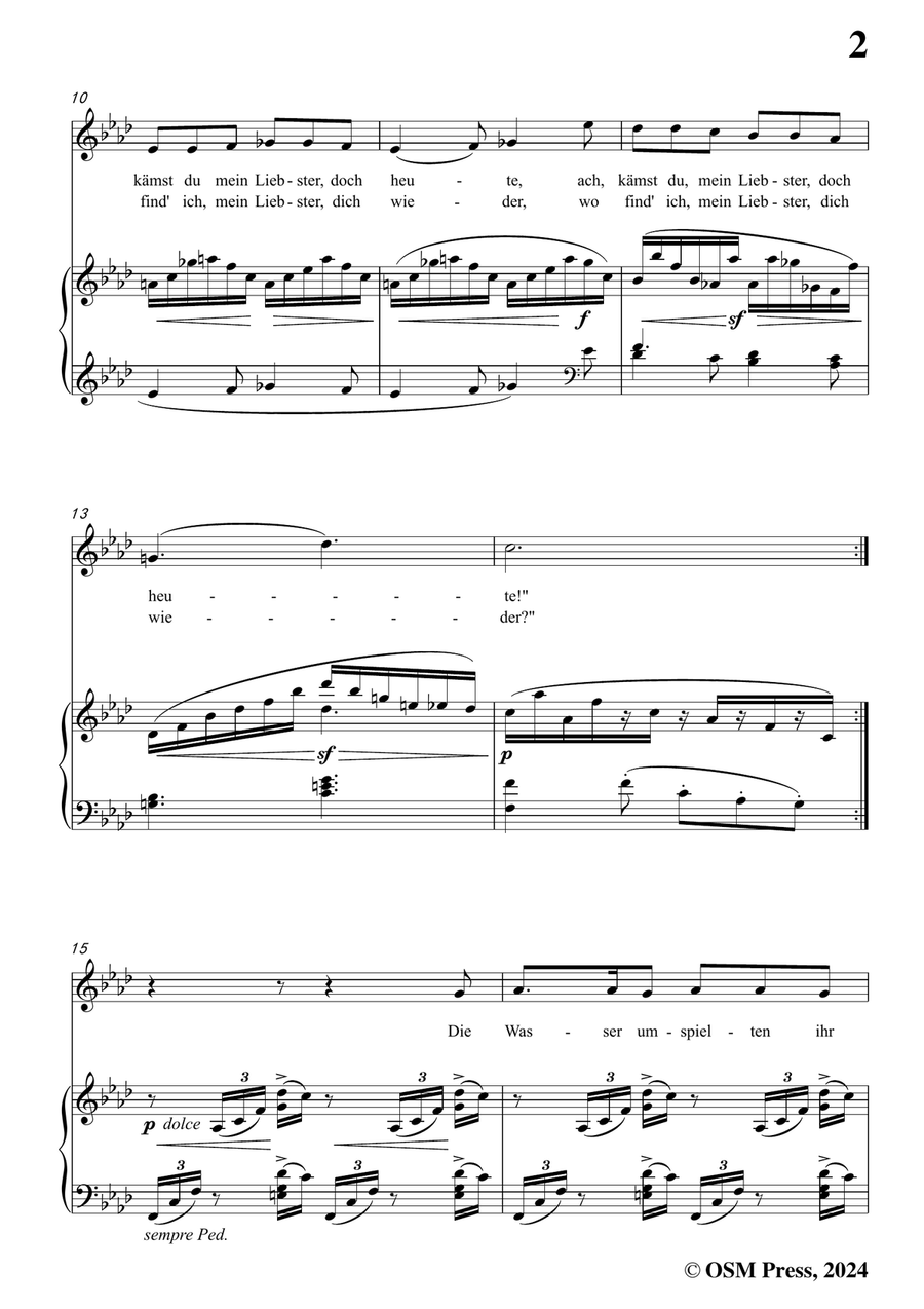 Brahms-Treue Liebe,in f minor Piano, Vocal scores gallery preview page 3