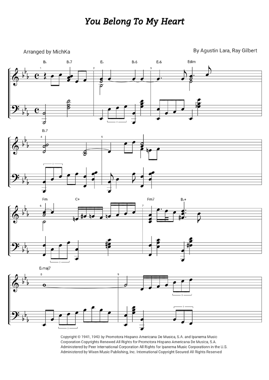 You Belong To My Heart (Solamente Una Vez) Piano Solo scores gallery preview page 1