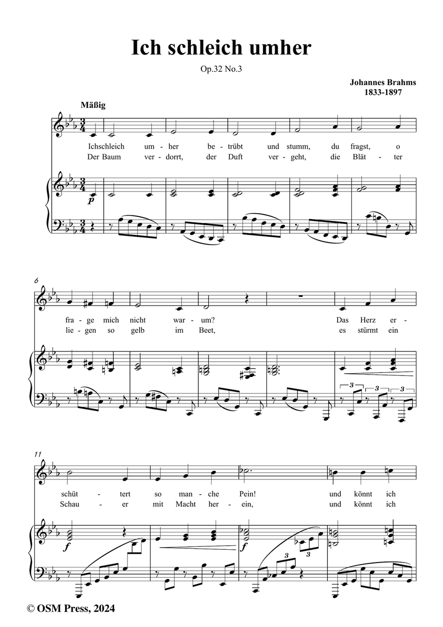 Brahms-Ich schleich umher,in c minor Piano, Vocal scores gallery preview page 2