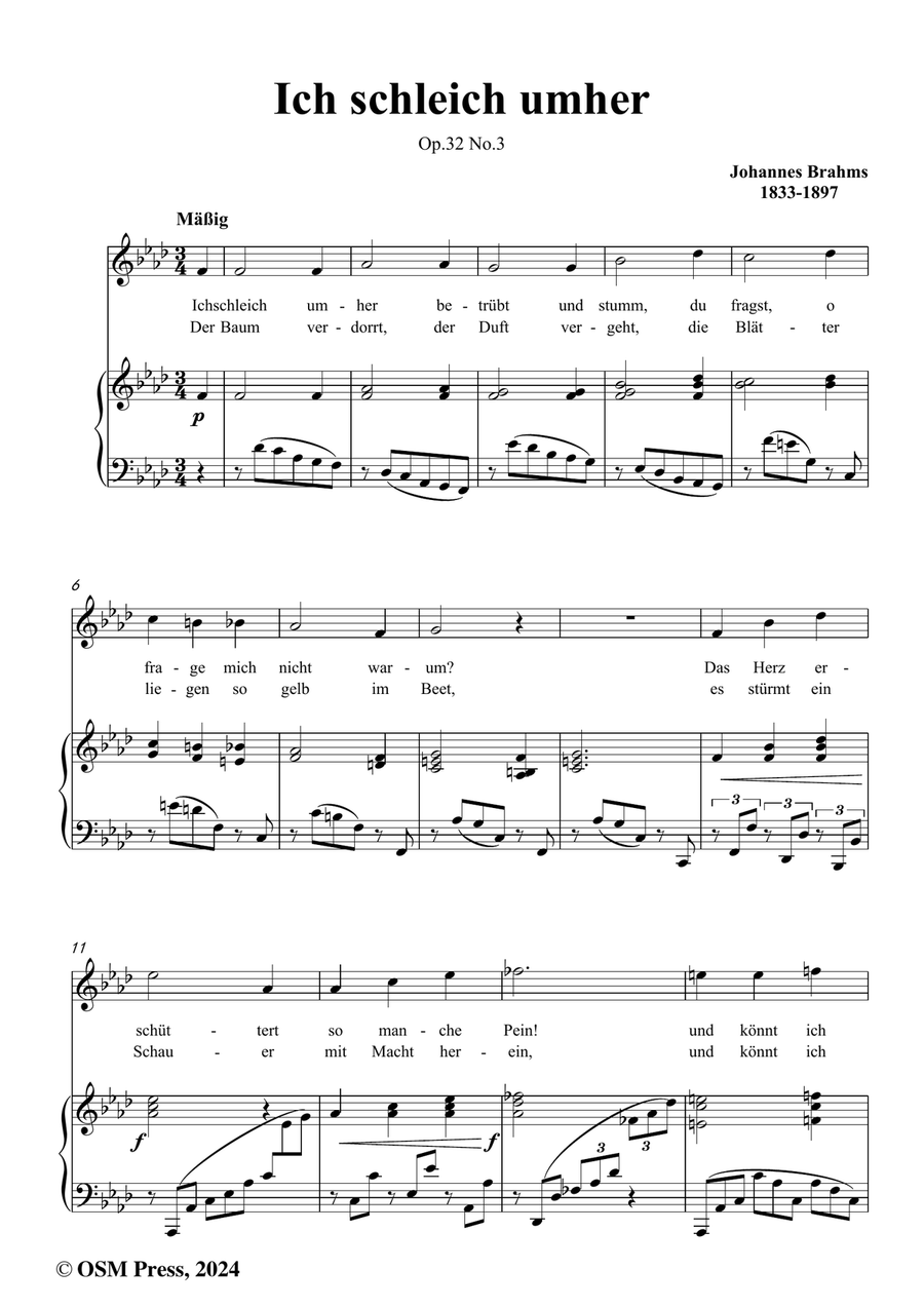 Brahms-Ich schleich umher,in f minor Piano, Vocal scores gallery preview page 2