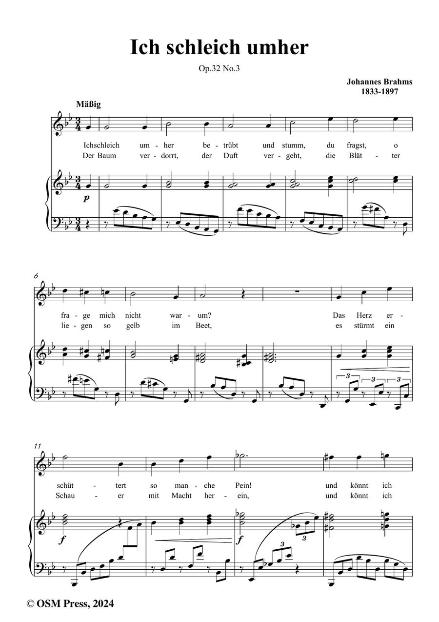 Brahms-Ich schleich umher,in g minor Piano, Vocal scores gallery preview page 2
