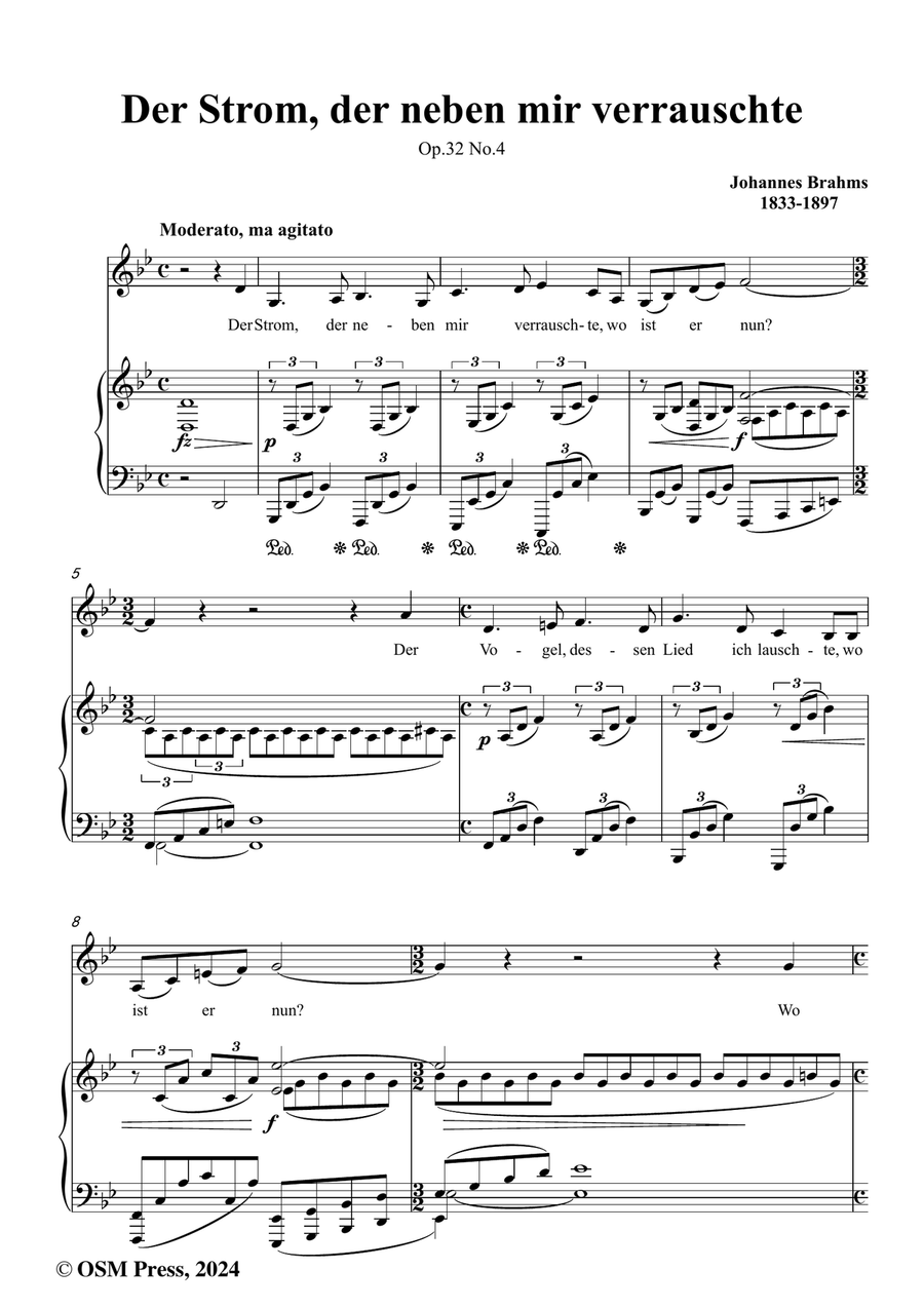 Brahms-Der Strom,der neben mir verrauschte,in g minor Piano, Vocal scores gallery preview page 2