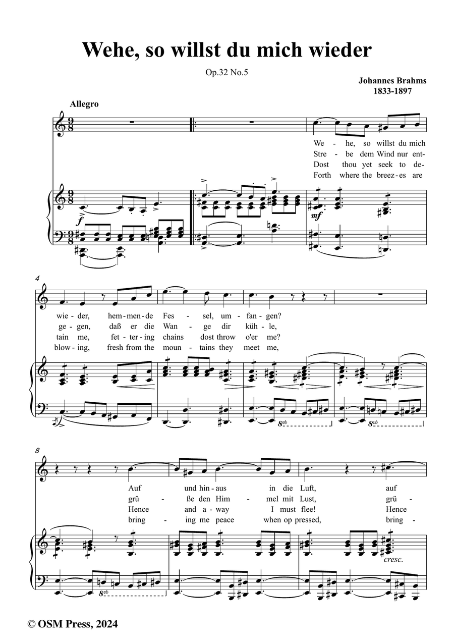 Brahms-Wehe,so willst du mich wieder,in a minor Piano, Vocal scores gallery preview page 2