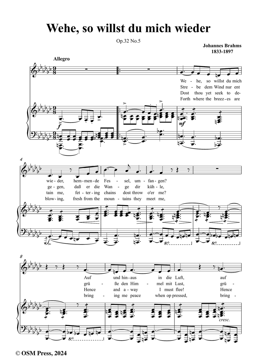 Brahms-Wehe,so willst du mich wieder,in e flat minor Piano, Vocal scores gallery preview page 2