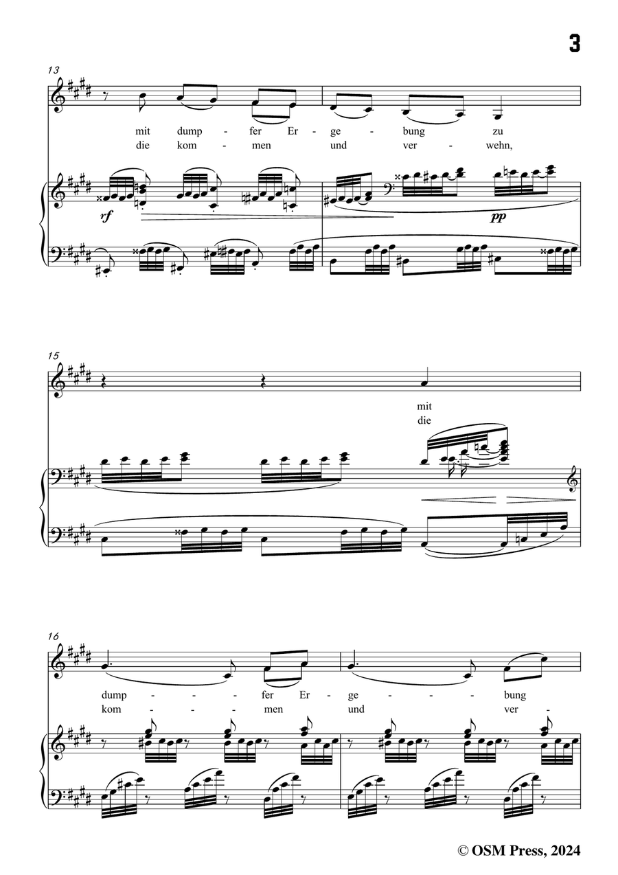 Brahms-Verzagen,in c sharp minor Piano, Vocal scores gallery preview page 5