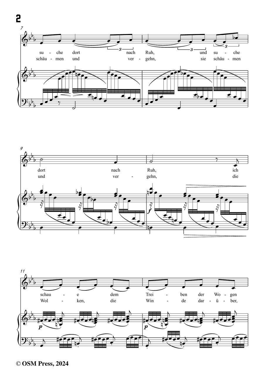 Brahms-Verzagen,in c minor Piano, Vocal scores gallery preview page 4