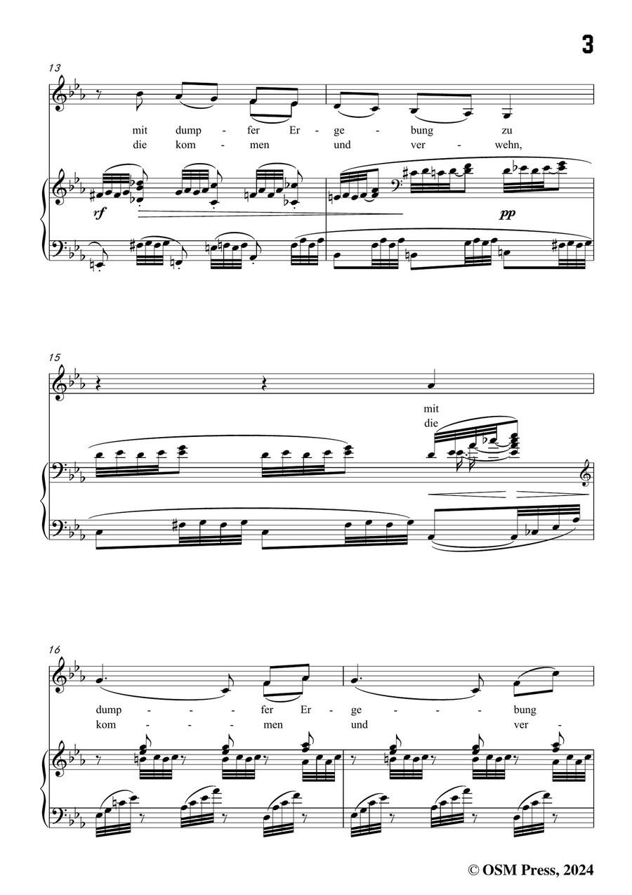 Brahms-Verzagen,in c minor Piano, Vocal scores gallery preview page 5
