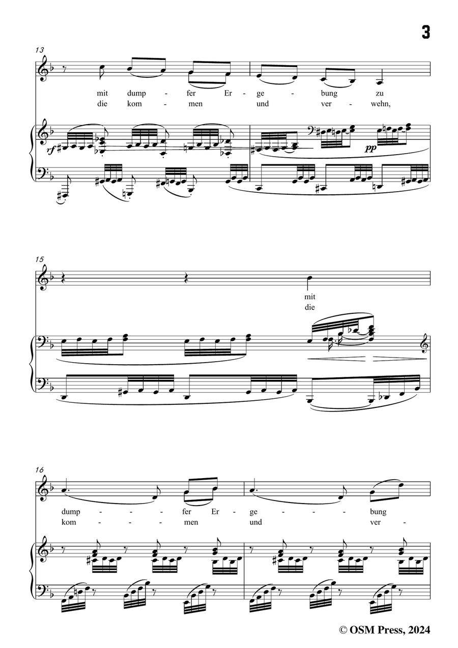 Brahms-Verzagen,in d minor Piano, Vocal scores gallery preview page 5