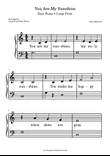 You Are My Sunshine LARGE PRINT Easy Piano