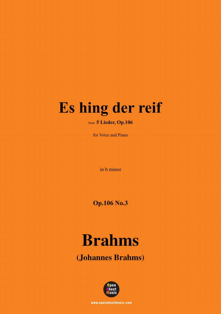 Brahms-Es hing der reif,in b minor Piano, Vocal scores gallery preview page 1