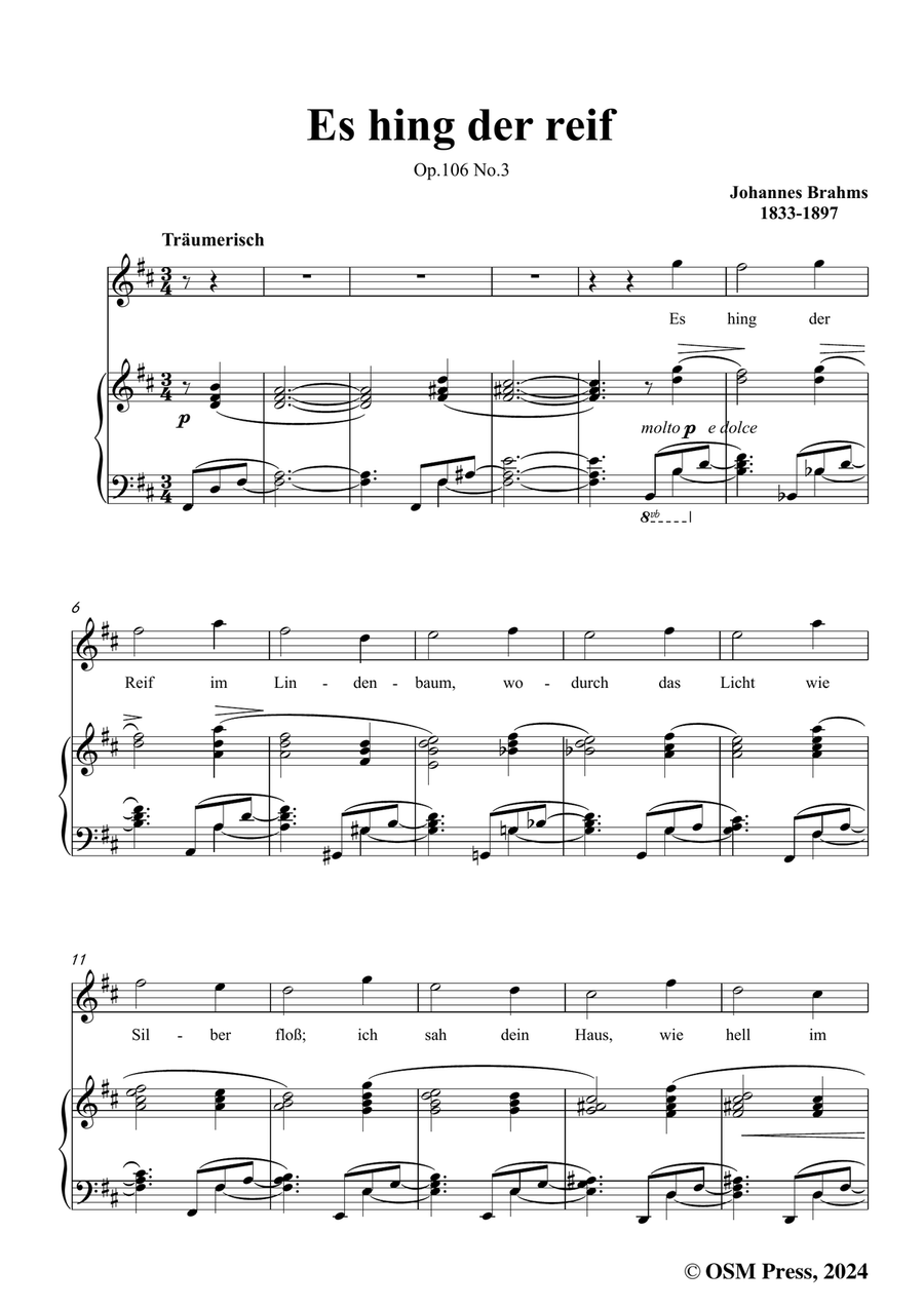 Brahms-Es hing der reif,in b minor Piano, Vocal scores gallery preview page 3