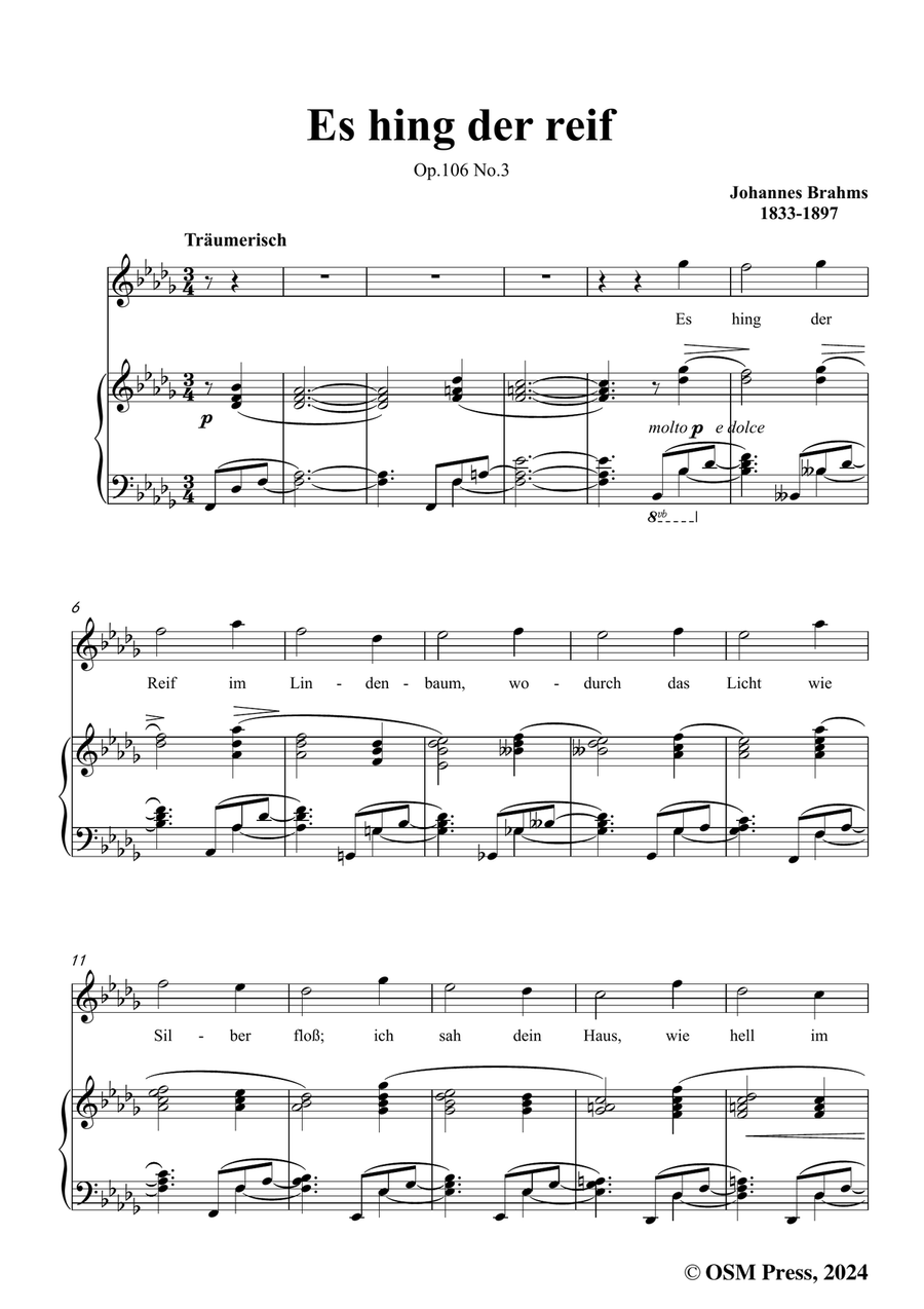 Brahms-Es hing der reif,in b flat minor Piano, Vocal scores gallery preview page 3