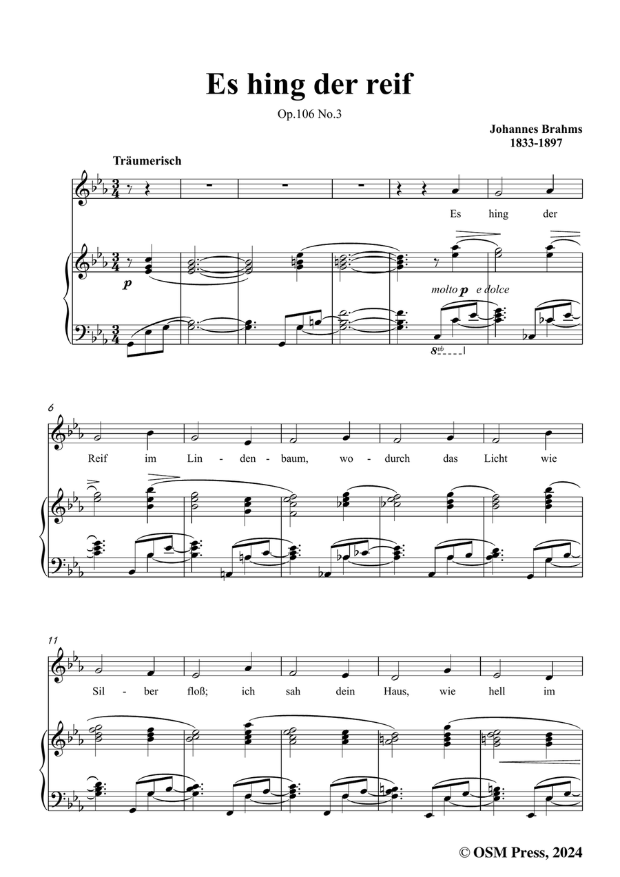 Brahms-Es hing der reif,in c minor Piano, Vocal scores gallery preview page 3