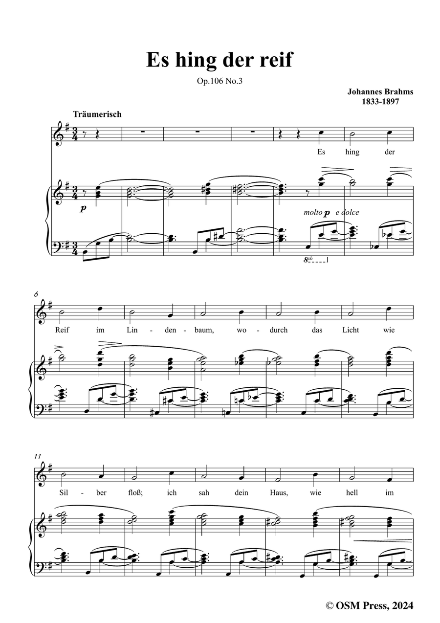 Brahms-Es hing der reif,in e minor Piano, Vocal scores gallery preview page 3