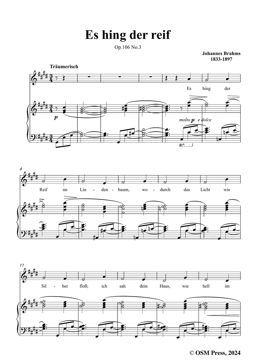 Brahms-Es hing der reif,in c sharp minor Piano, Vocal scores gallery preview page 3