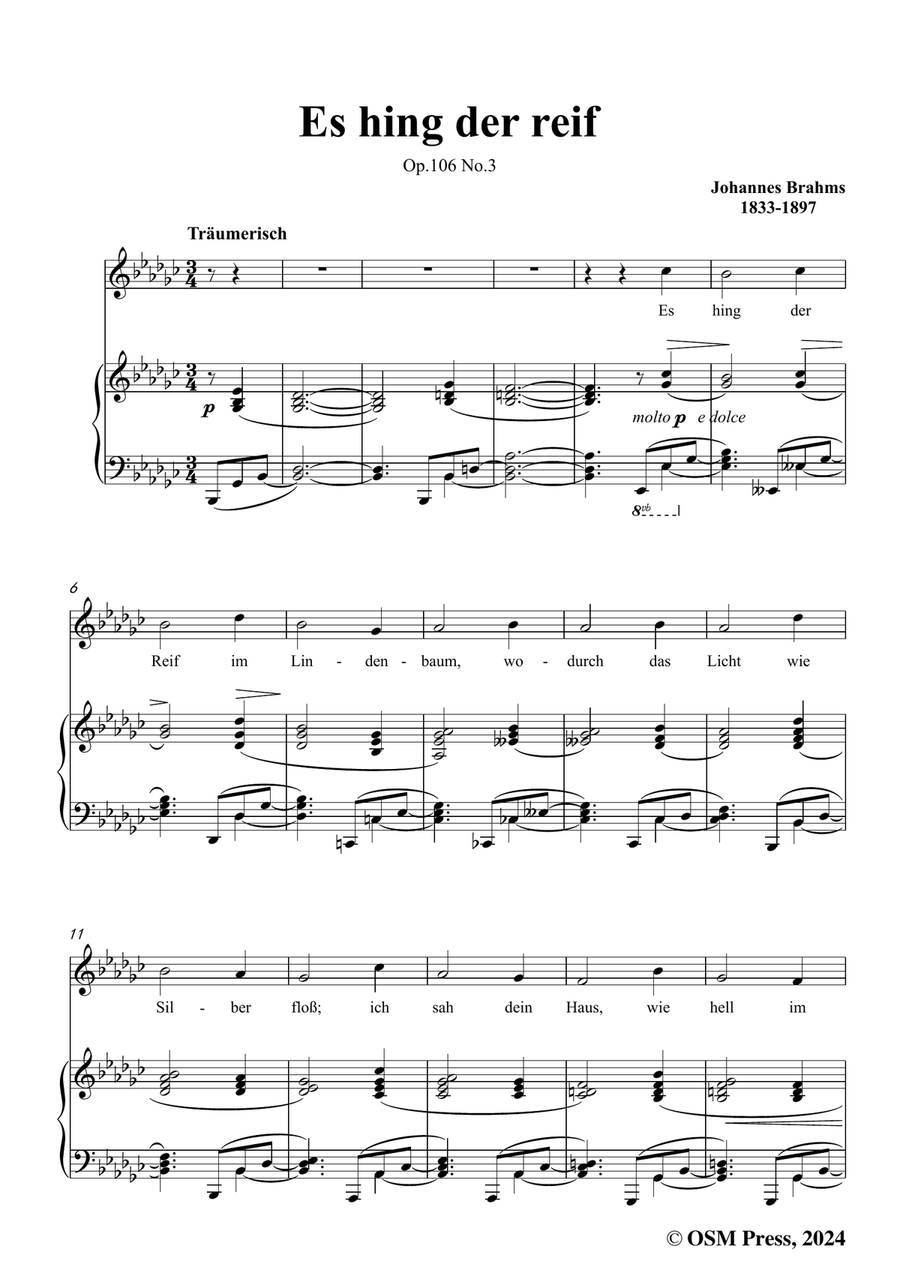 Brahms-Es hing der reif,in e flat minor Piano, Vocal scores gallery preview page 3