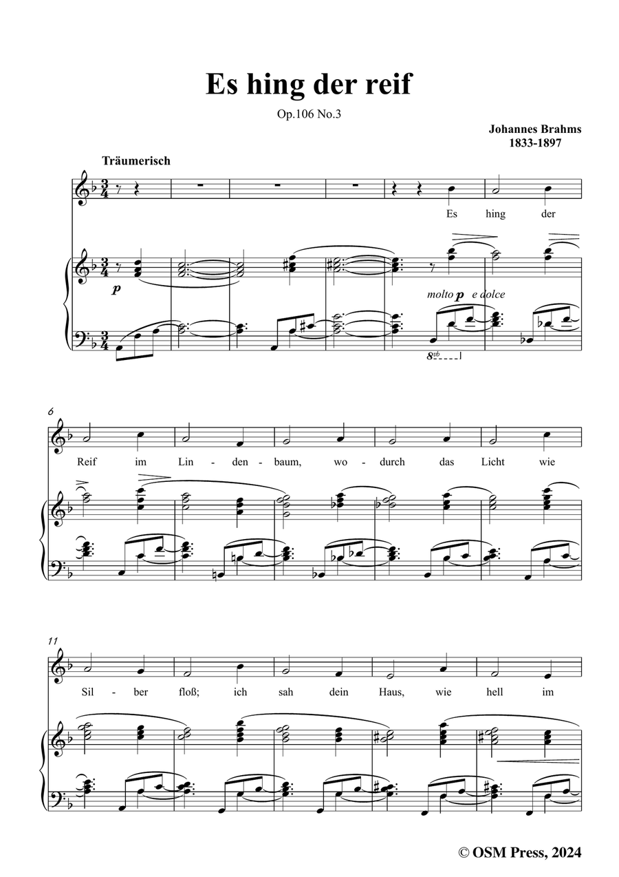 Brahms-Es hing der reif,in d minor Piano, Vocal scores gallery preview page 3