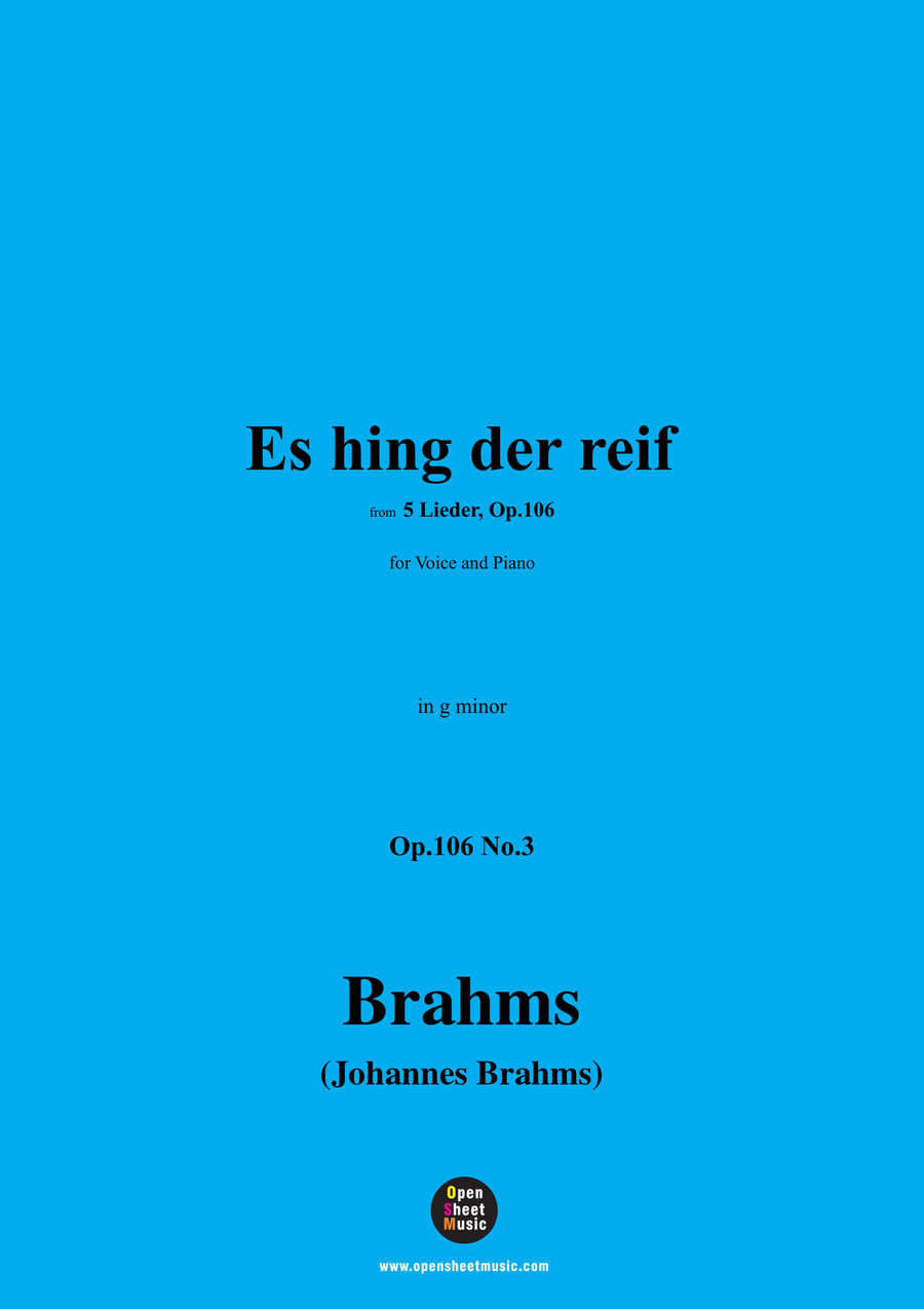 Brahms-Es hing der reif,in g minor Piano, Vocal scores gallery preview page 1