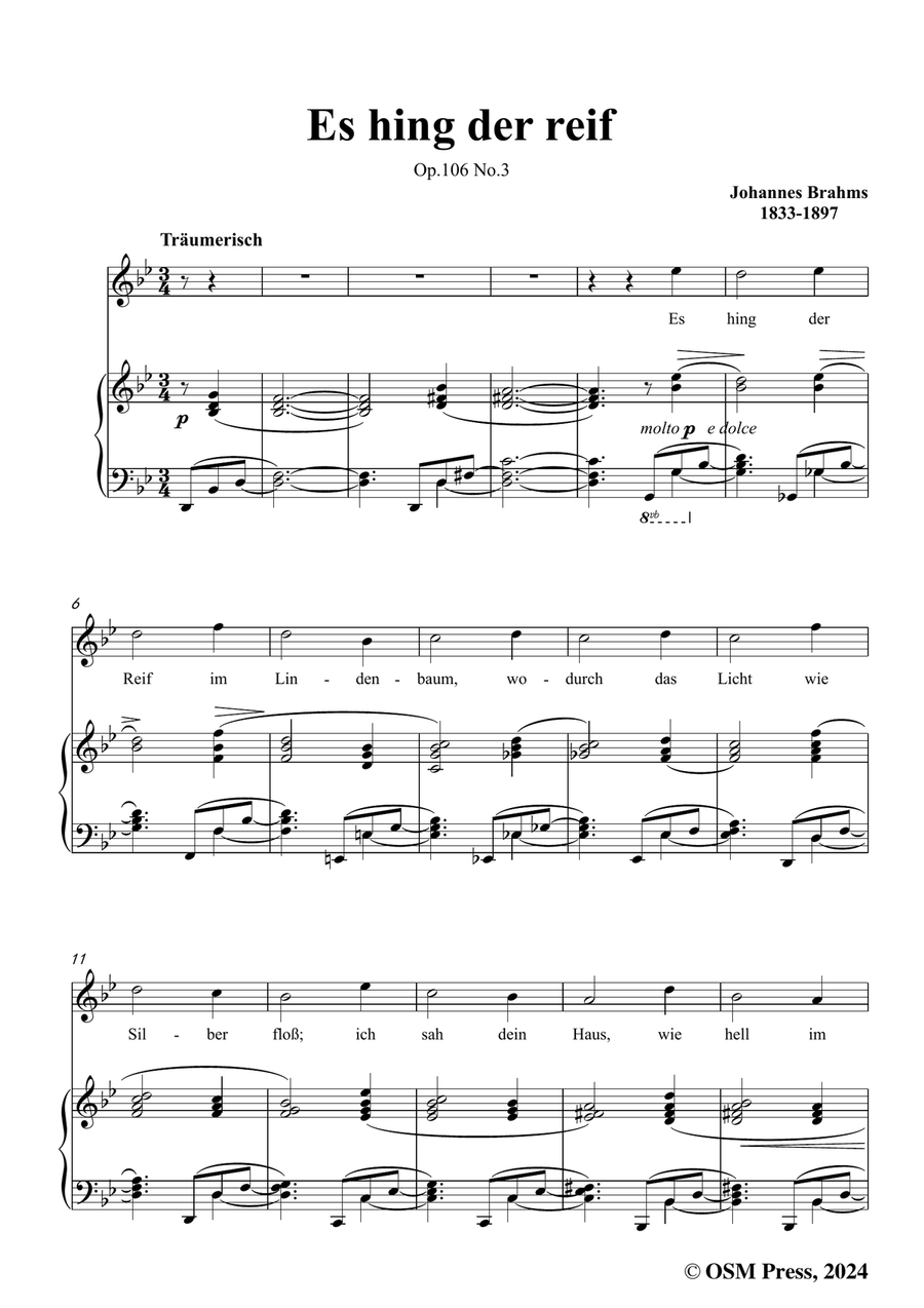 Brahms-Es hing der reif,in g minor Piano, Vocal scores gallery preview page 3