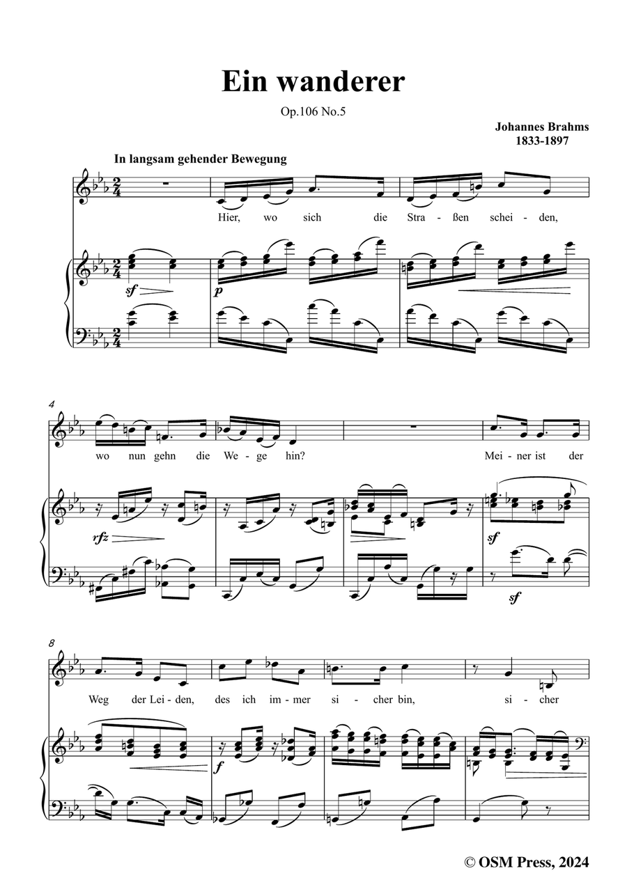 Brahms-Ein wanderer,in c minor Piano, Vocal scores gallery preview page 3
