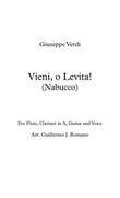 Vieni, o levita! (Nabucco) - G. Verdi - flauta, clarinete en A, guitarra y voz (bajo)