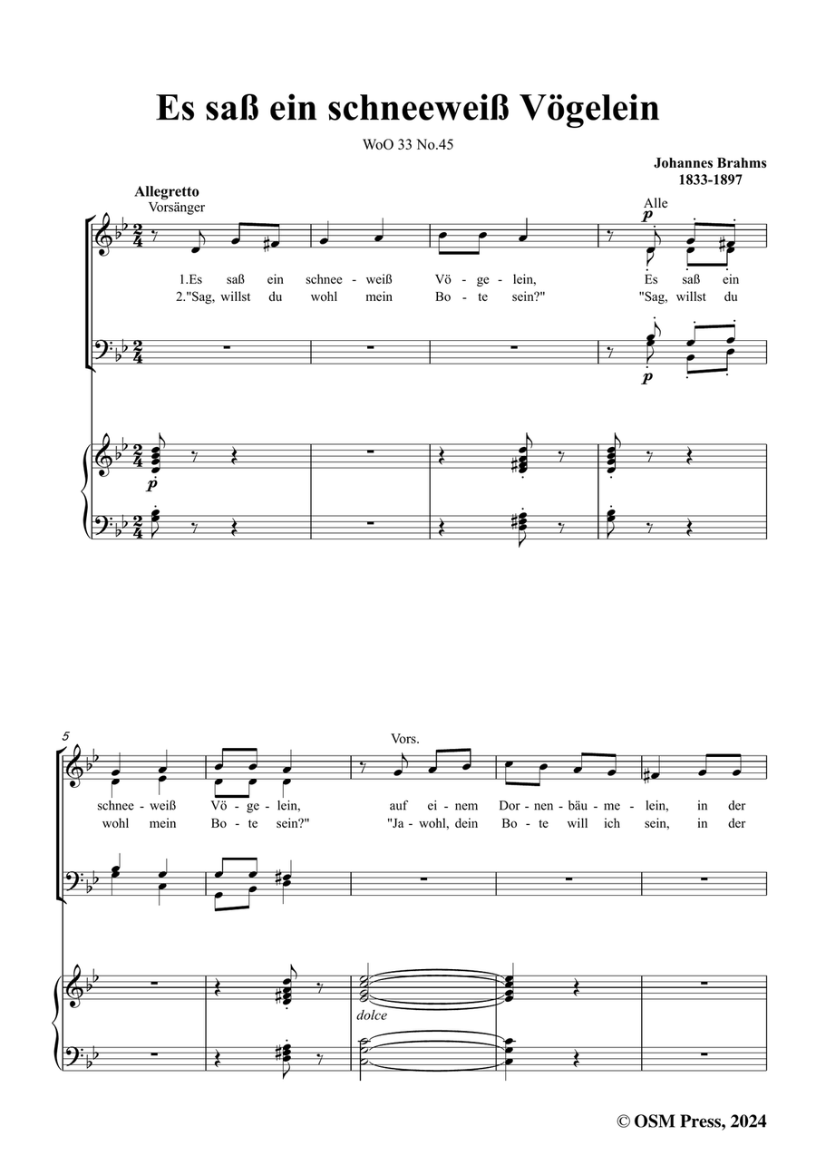 Brahms-Es sass ein schneeweiss Vogelein,in g minor Piano, Vocal scores gallery preview page 3