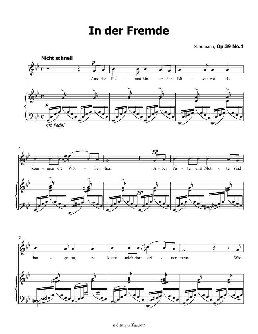 In der Fremde, by Schumann, Op.39 No.1, in g minor Piano, Vocal scores gallery preview page 3