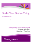Shake Your Groove Thing