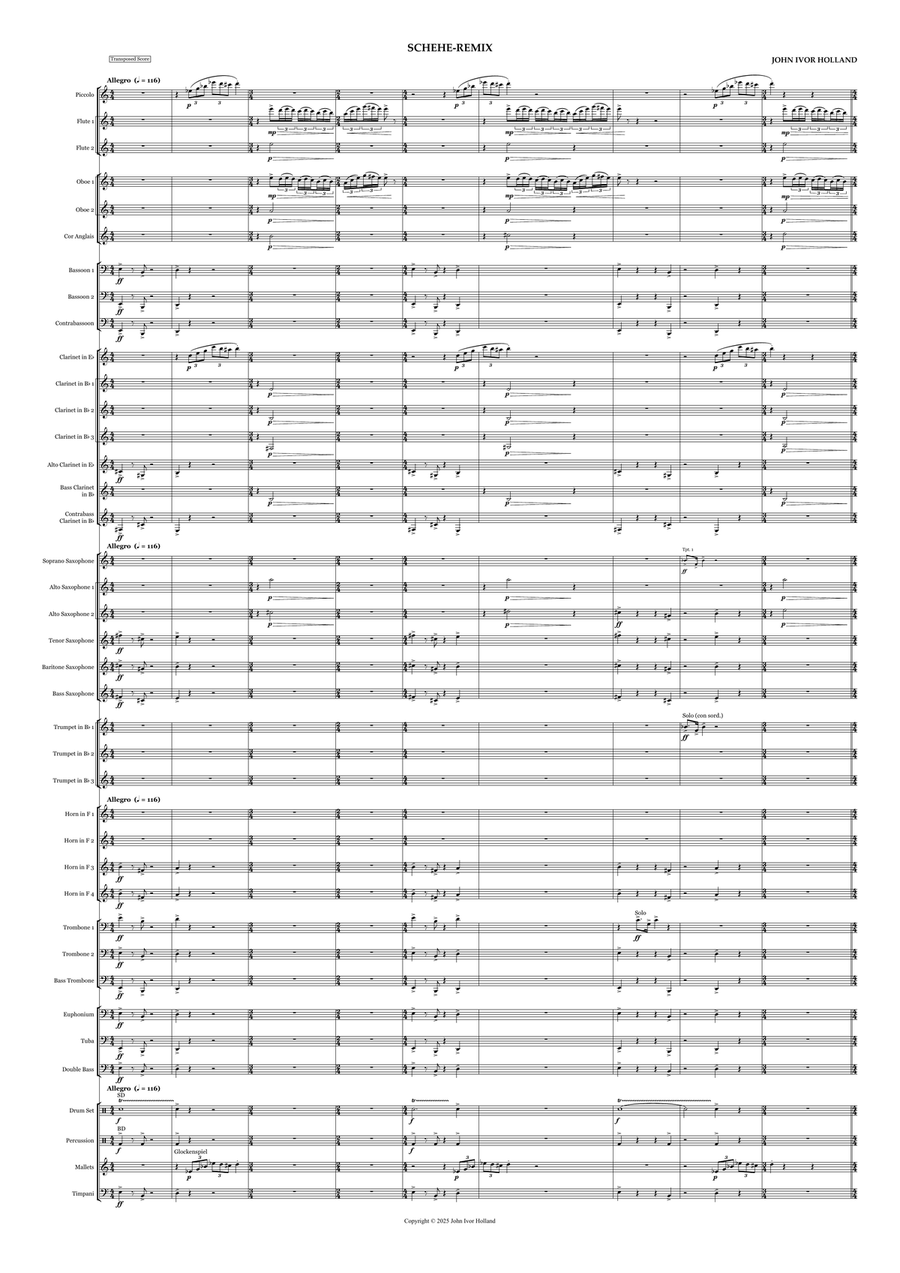 Schehe-remix Concert Band scores gallery preview page 1