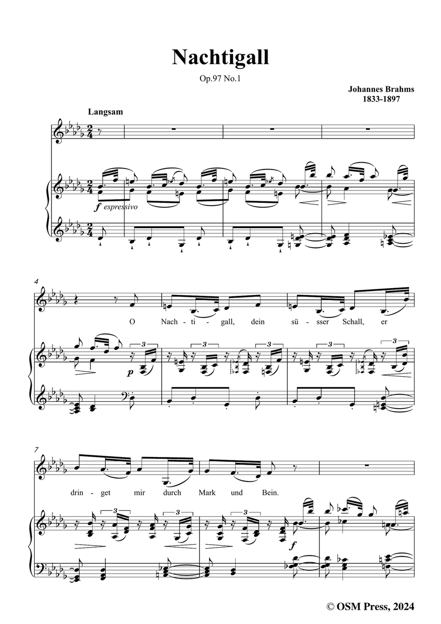Brahms-Nachtigall,in b flat minor Piano, Vocal scores gallery preview page 3