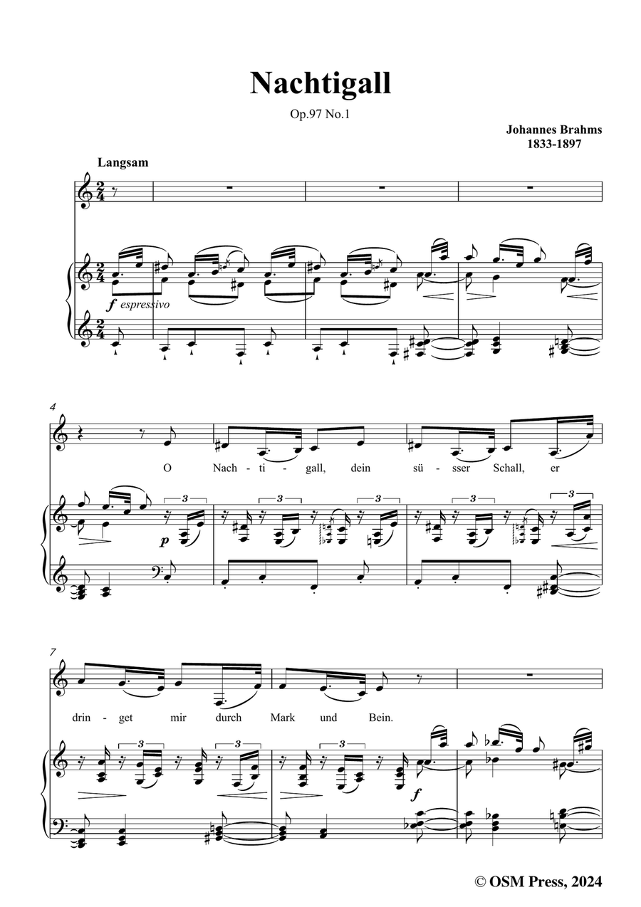 Brahms-Nachtigall,in a minor Piano, Vocal scores gallery preview page 3