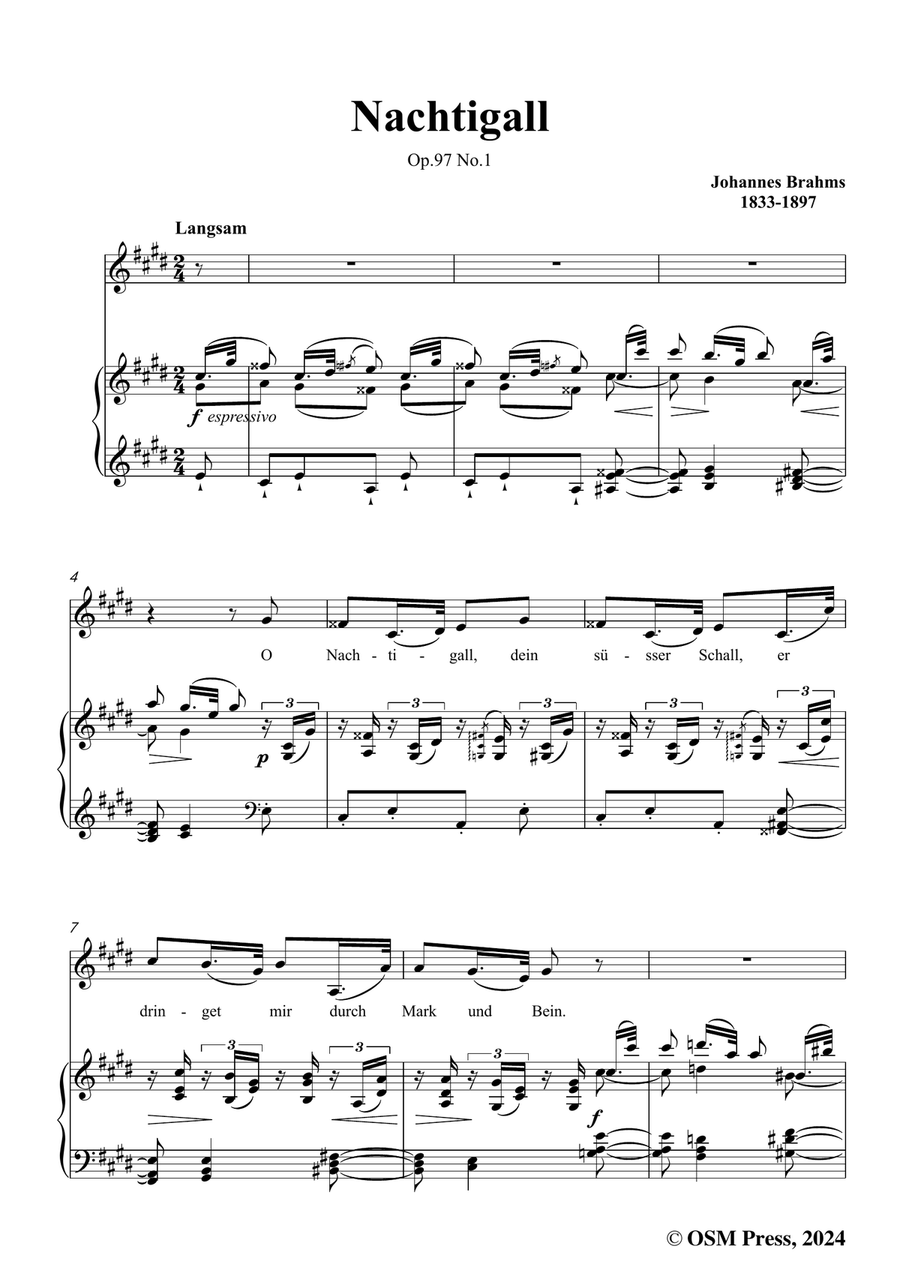 Brahms-Nachtigall,in c sharp minor Piano, Vocal scores gallery preview page 3