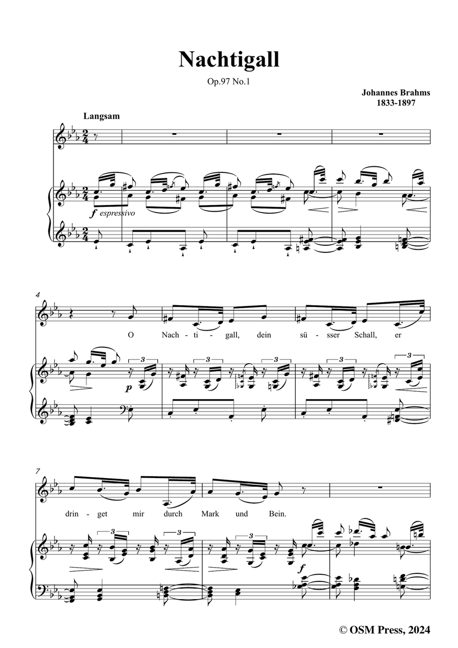 Brahms-Nachtigall,in c minor Piano, Vocal scores gallery preview page 3