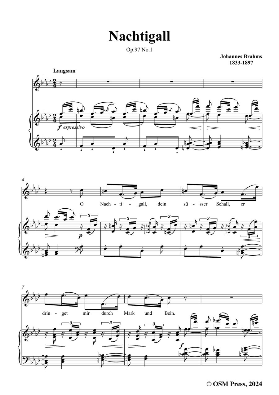 Brahms-Nachtigall,in f minor Piano, Vocal scores gallery preview page 3