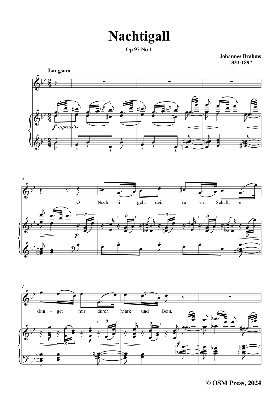 Brahms-Nachtigall,in g minor Piano, Vocal scores gallery preview page 3