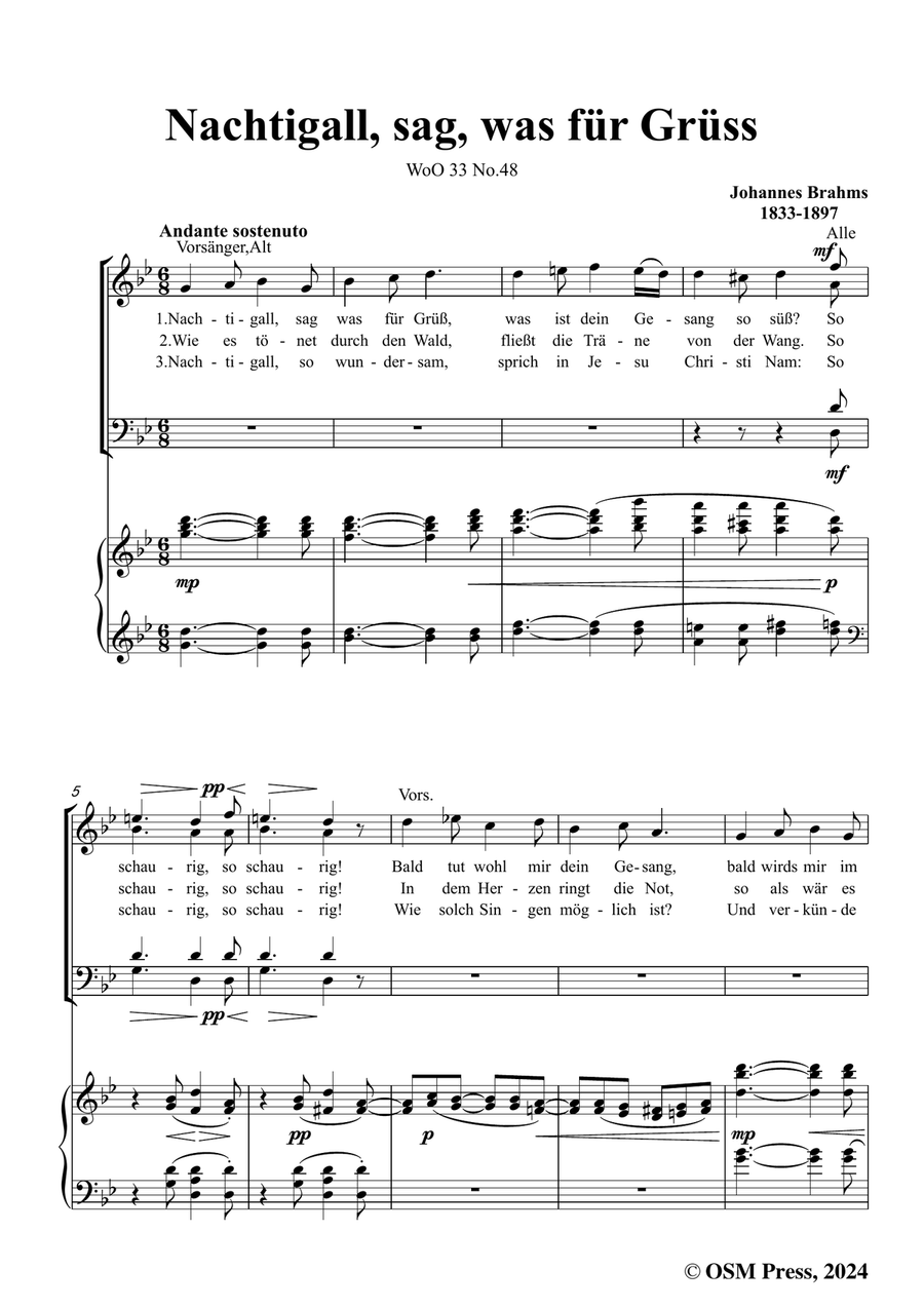 Brahms-Nachtigall,in g minor Piano, Vocal scores gallery preview page 3