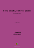 Caldara-Selve amiche,in e flat minor