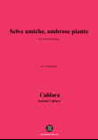 Caldara-Selve amiche,in f sharp minor