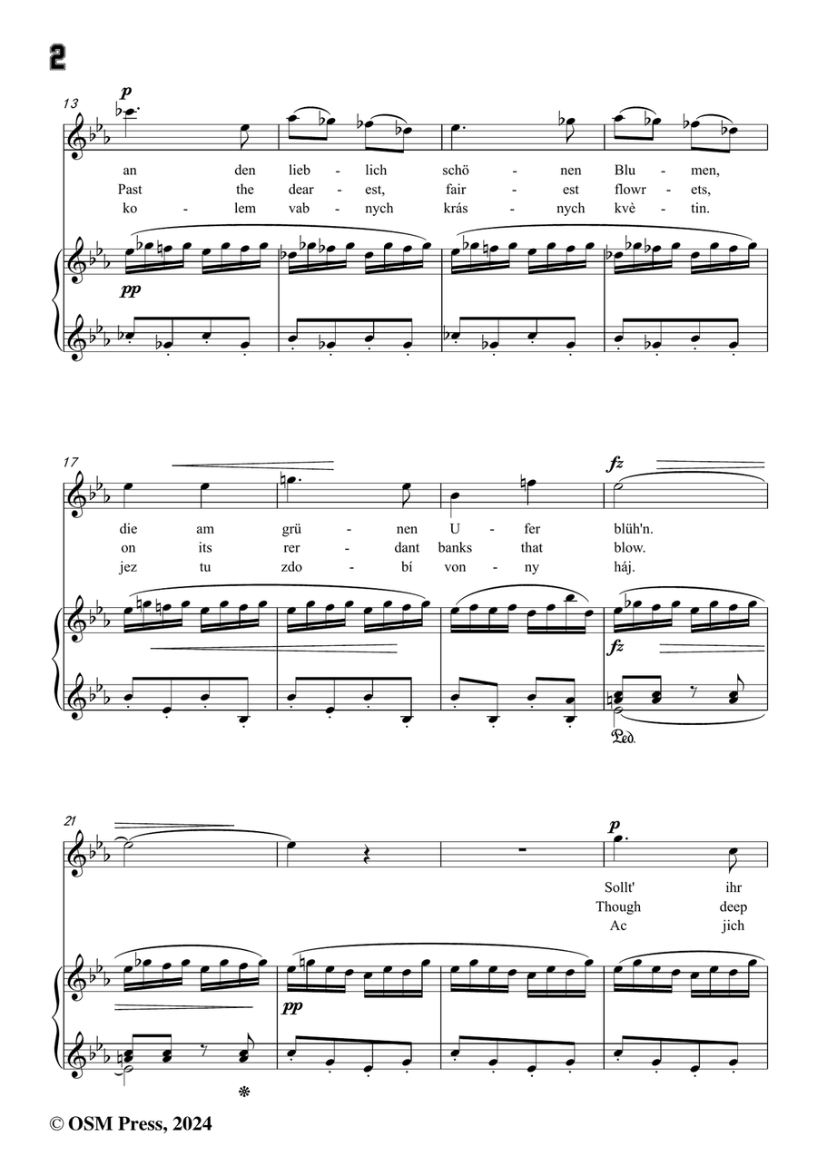 A. Dvořák-Am Bache,in c minor Piano, Vocal scores gallery preview page 4