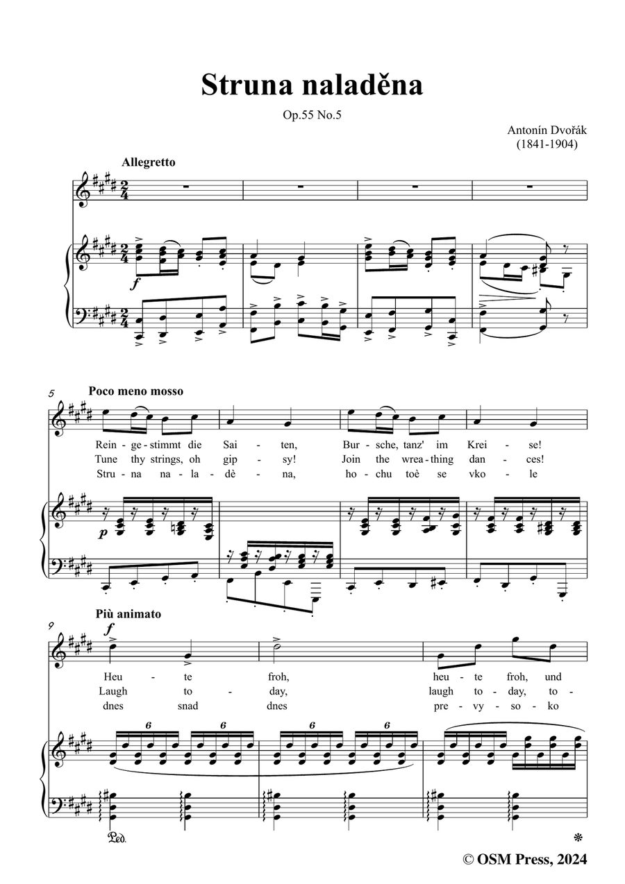 A. Dvořák-Struna naladěna,in c sharp minor Piano, Vocal scores gallery preview page 3
