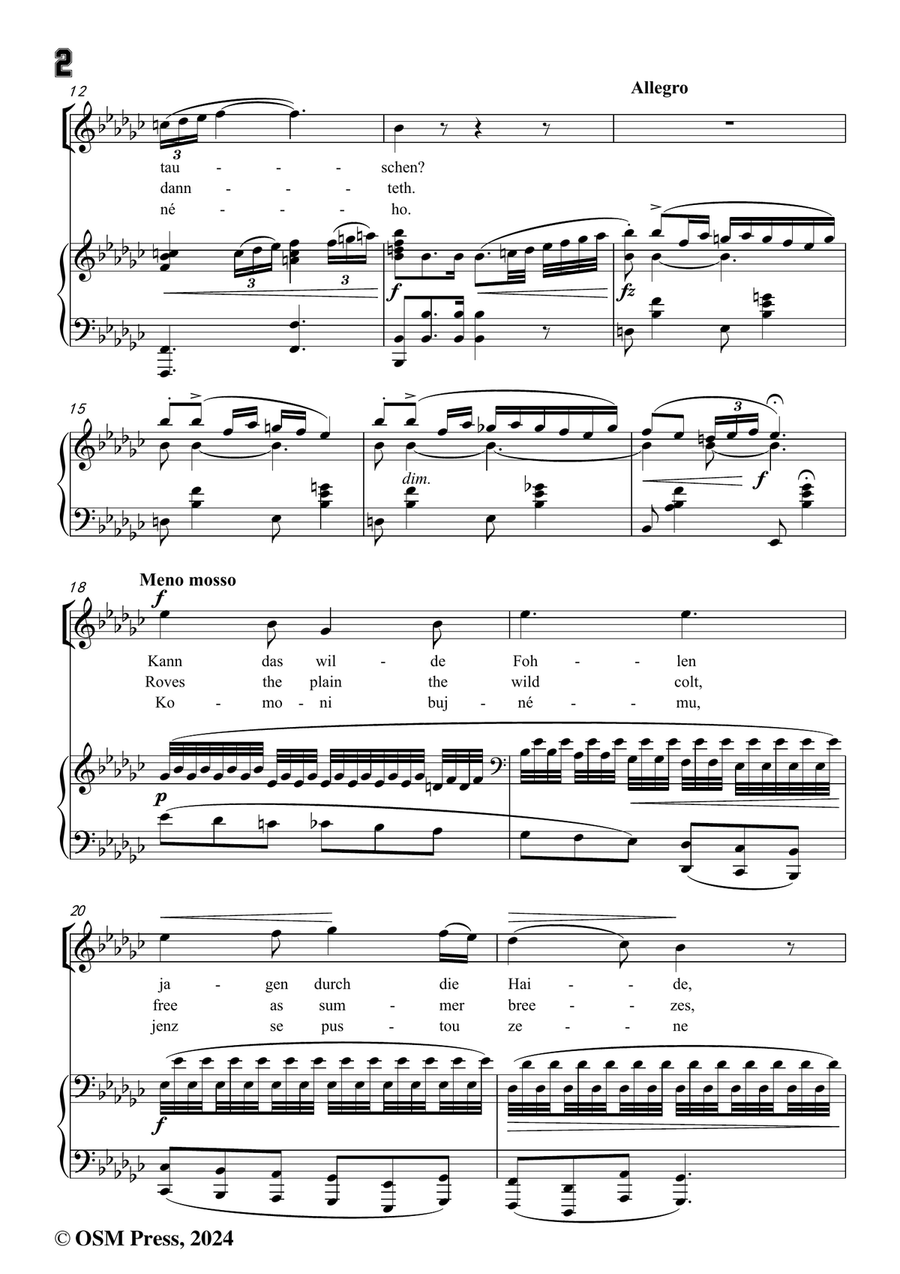 A. Dvořák-Dejte klec jestřábu,in e flat minor Piano, Vocal scores gallery preview page 4