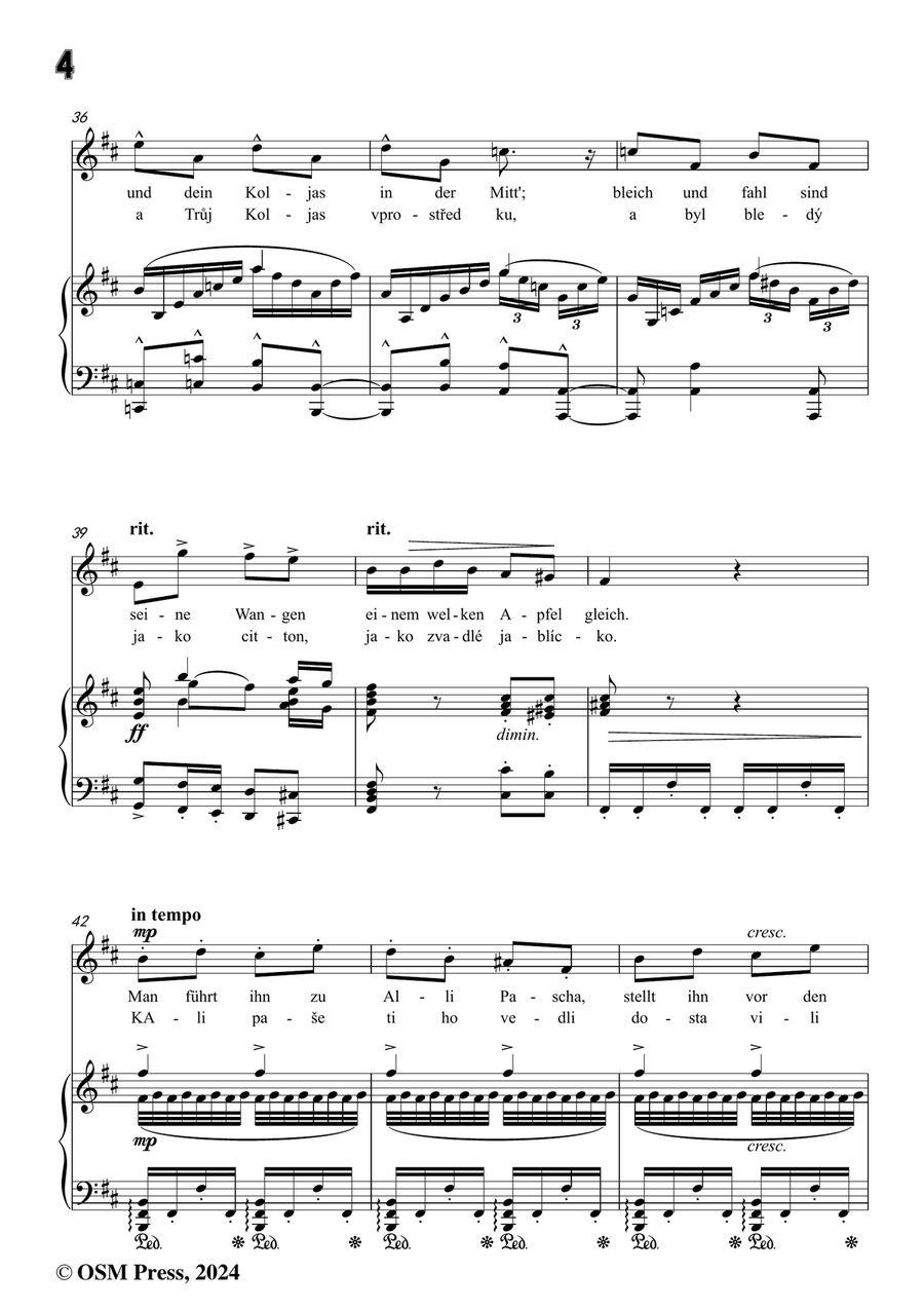 A. Dvořák-Koljas,píseň kleftská,in b minor Piano, Vocal scores gallery preview page 6