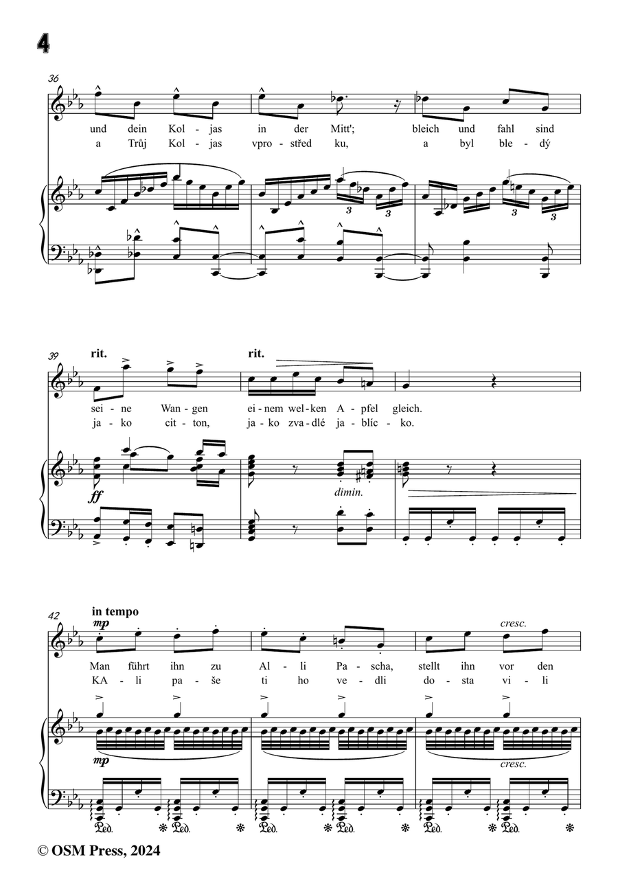 A. Dvořák-Koljas,píseň kleftská,in c minor Piano, Vocal scores gallery preview page 6