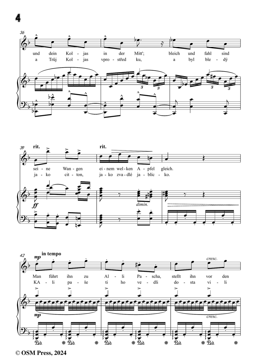 A. Dvořák-Koljas,píseň kleftská,in d minor Piano, Vocal scores gallery preview page 6