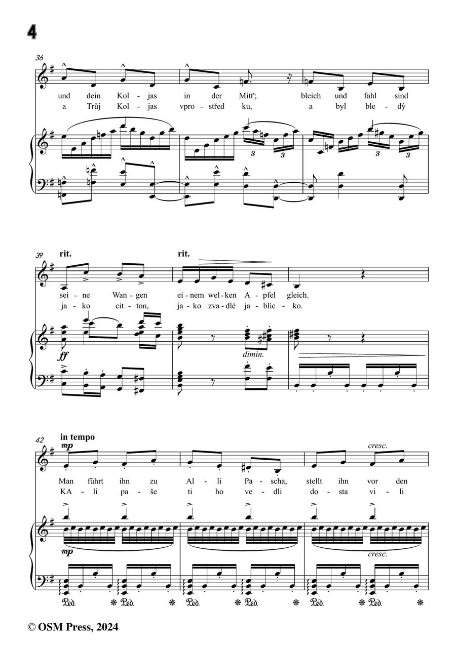 A. Dvořák-Koljas,píseň kleftská,in e minor Piano, Vocal scores gallery preview page 6