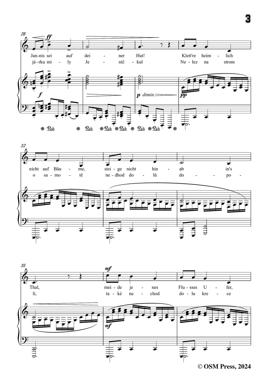 A. Dvořák-Nereidy,balada,in a minor Piano, Vocal scores gallery preview page 5