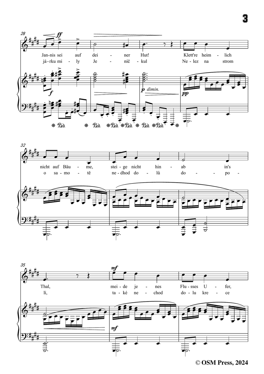 A. Dvořák-Nereidy,balada,in c sharp minor Piano, Vocal scores gallery preview page 5